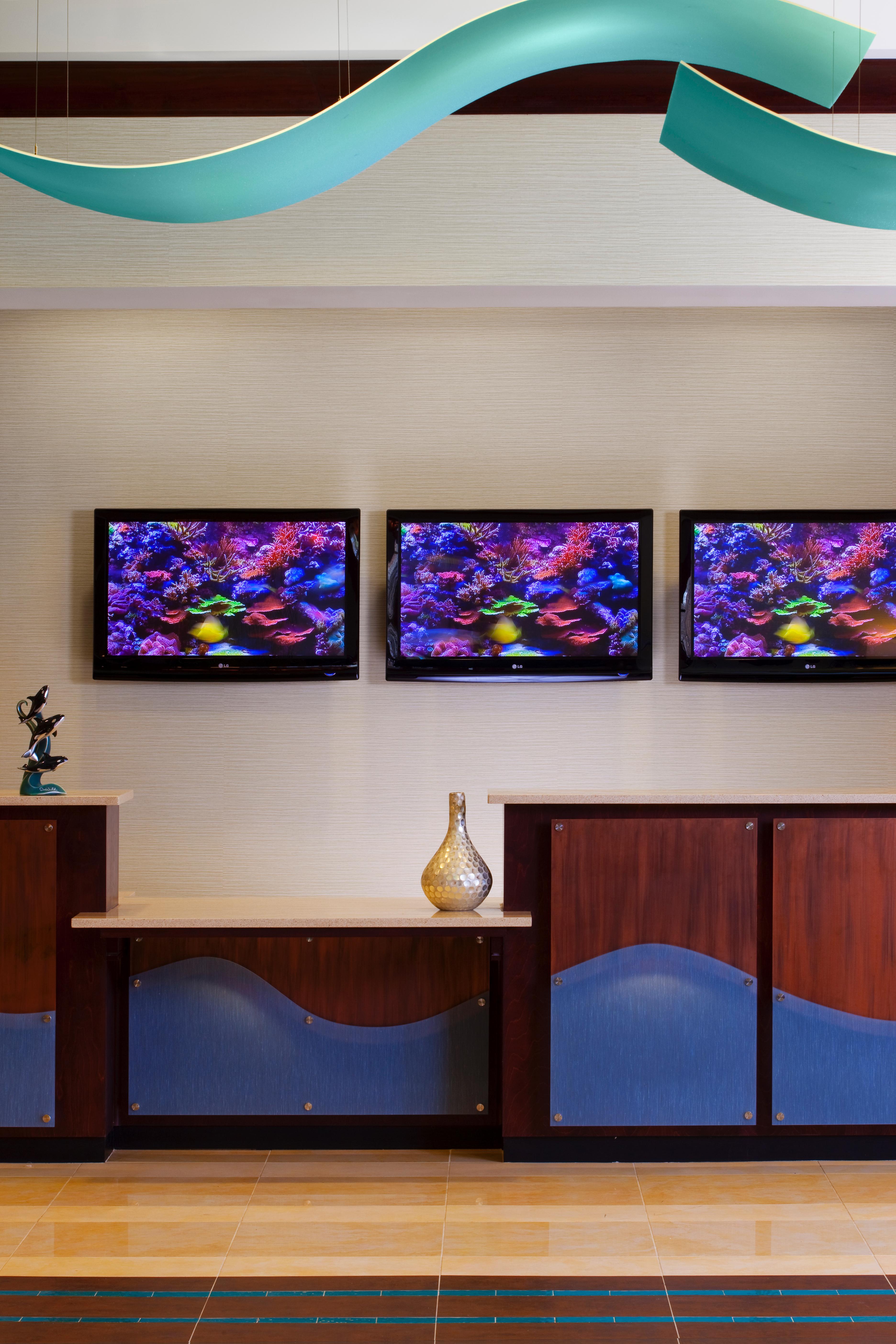 Fairfield Inn Suites By Marriott Orlando At Seaworld Williamsburg Eksteriør billede